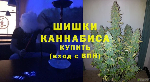 мдпв Вязники